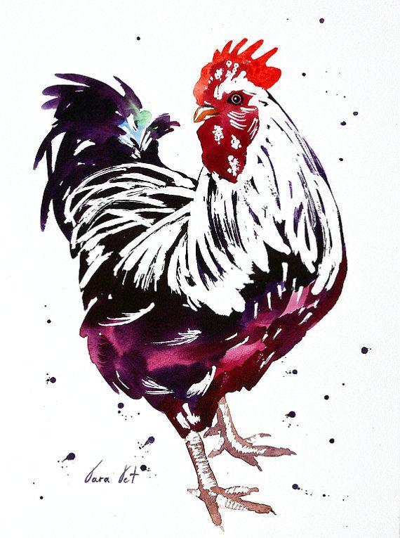 570x765 Rooster Art Chicken