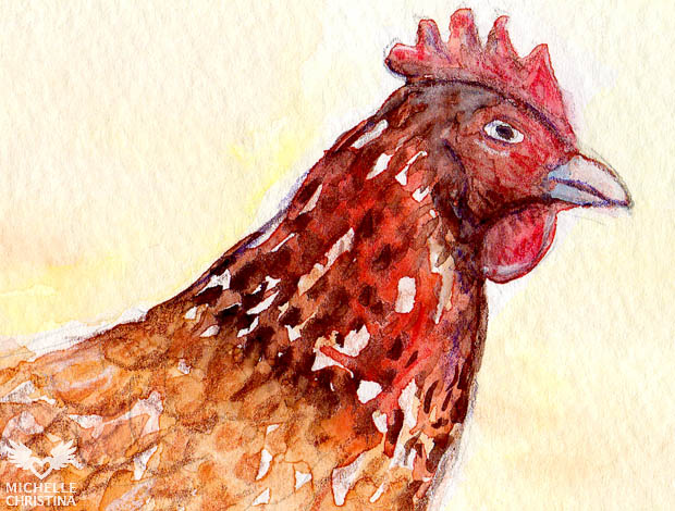 620x470 The Hen Watercolor Sketch Amp Process Shots Michelle Christina