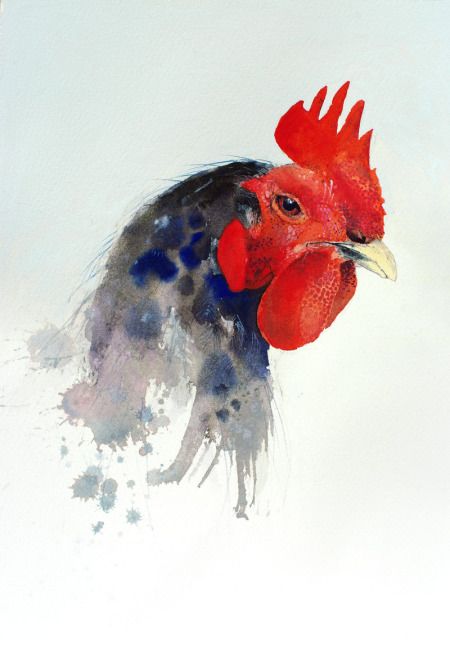 450x652 Watercolor Chicken Art Watercolor Watercolor, Bird