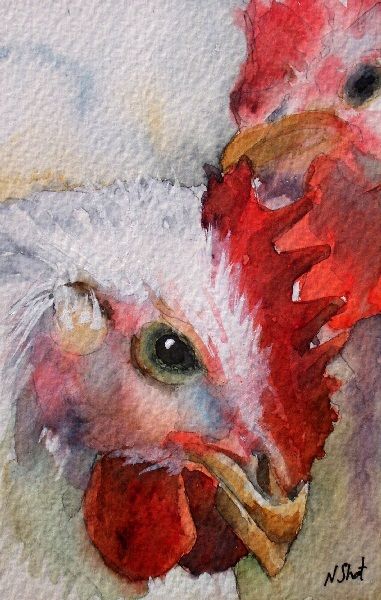 381x600 Watercolor Paintings Of Chickens This Painting Is My