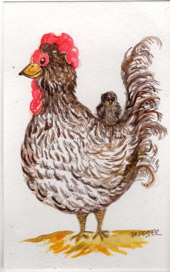 570x908 Chicken Chick Watercolor Painting Original Dominique Etsy