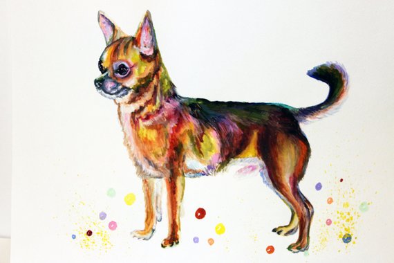 570x380 Chihuahua Watercolor Painting Chihuahua Art Print On Canvas Etsy
