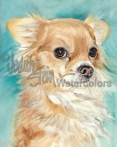 239x300 Long Haired Chihuahua Chi Dog Art Print Watercolor Painting Judith
