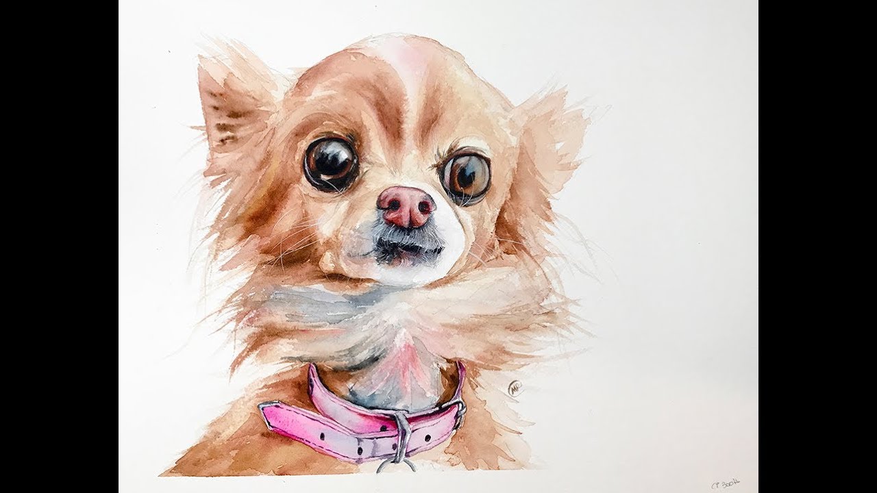 1280x720 Watercolor Chihuahua Painting Demonstration