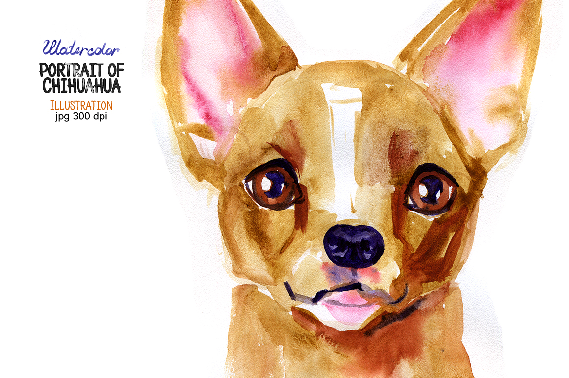 1160x772 Watercolor Chihuahua By Aquarelloaquarelle
