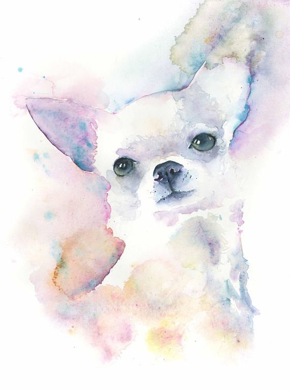 570x769 Chihuahua Dog Paintingchihuahua Art Printpet Portrait Petit
