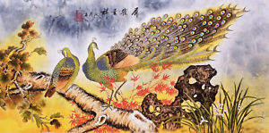 300x149 Peacock Birds Loverampflowers Oriental Asian Fine Art Chinese