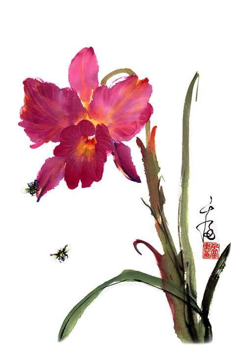 470x700 Chinese Watercolor Painting Luxury Chinese Watercolor Flowers
