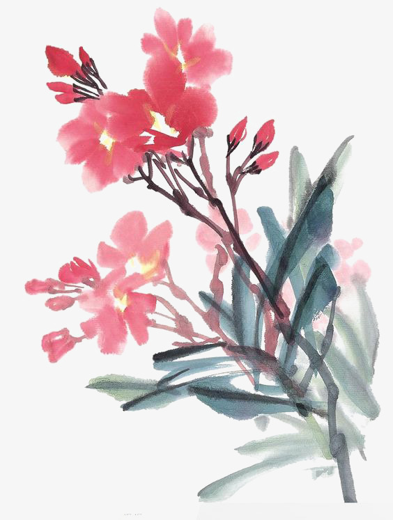 564x747 Ink Flowers, Chinese Style, Chinese Painting, Watercolor Flowers