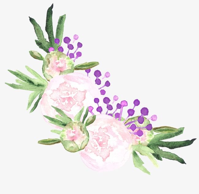 650x634 Flowers,hand Painted,hand Painted Flowers,falling,peony,chinese
