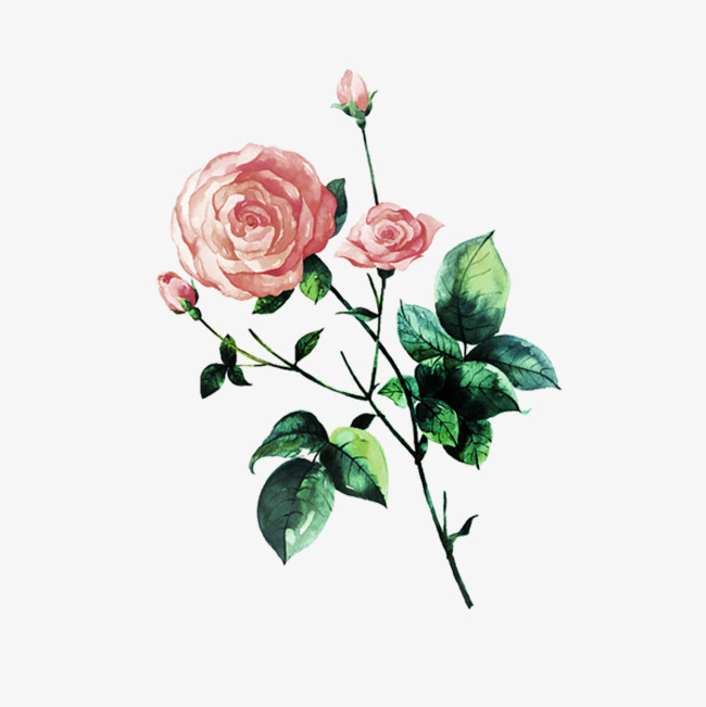 650x651 Aesthetic Ink Chinese Wind Rose, Ink Rose, Hand Painted Flowers