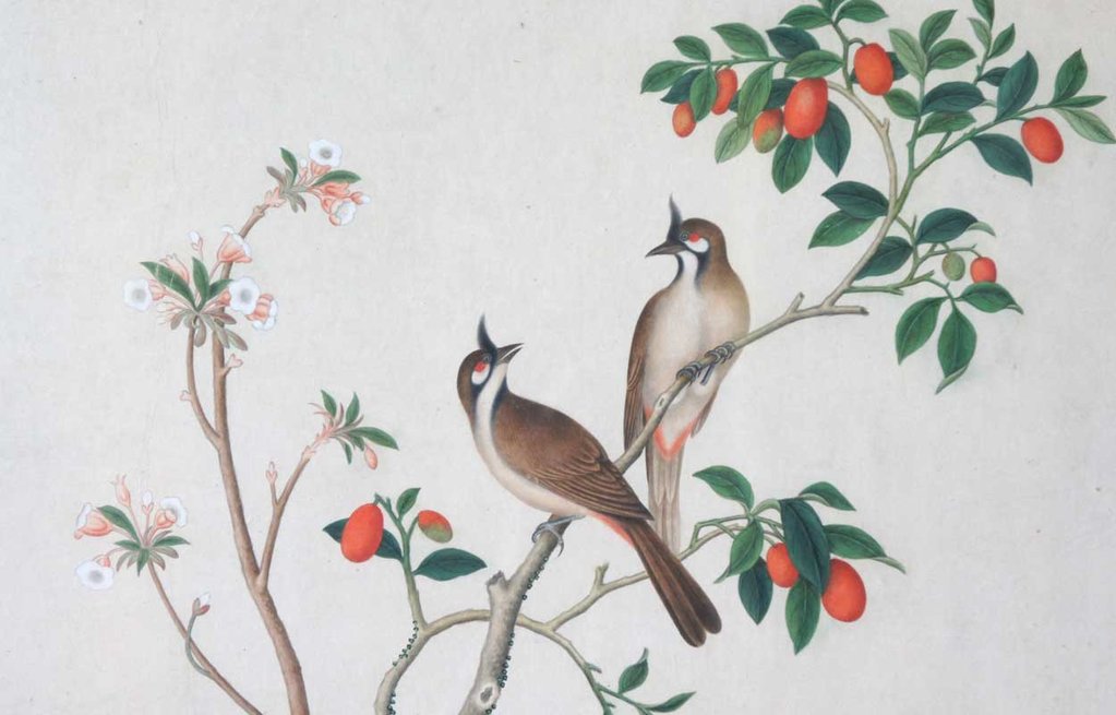 1023x655 Antique Japanese School Watercolor Painting Of Birds On A Branch