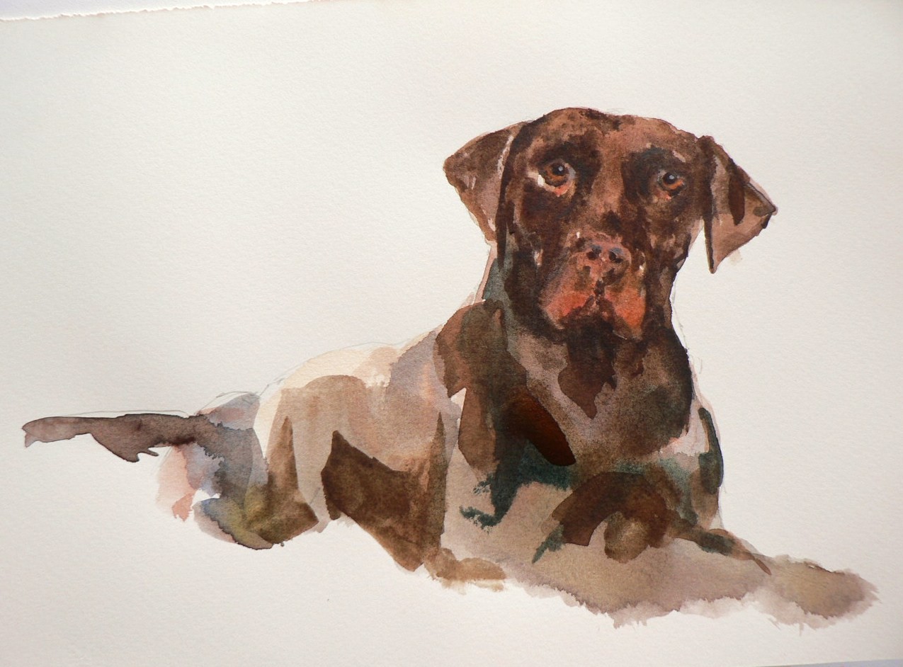 1275x942 Chocolate Lab Practice Piece Alison Fennell Art