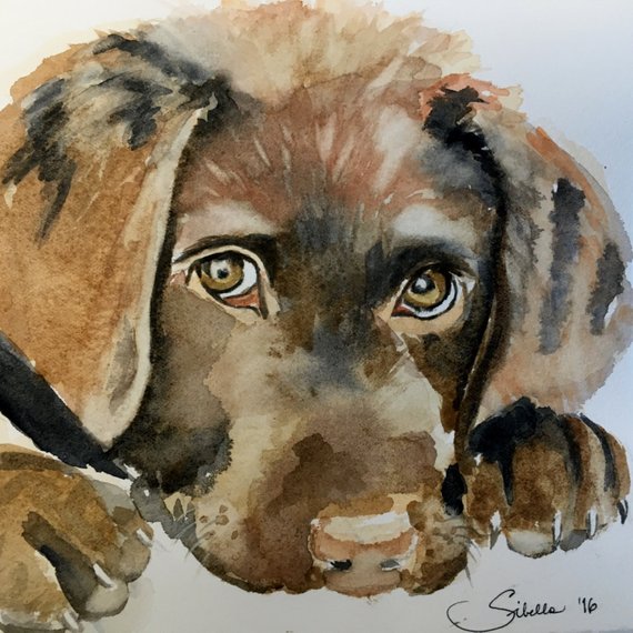 570x570 Chocolate Lab Puppy Watercolor Painting