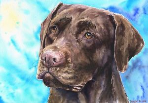 300x209 Chocolate Labrador Print Of The Original Watercolor Painting