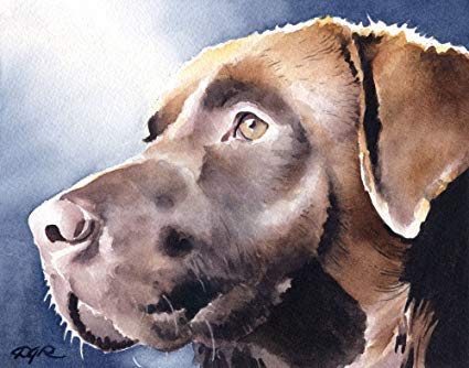 425x334 Chocolate Lab Watercolor Art Print Signed By Artist