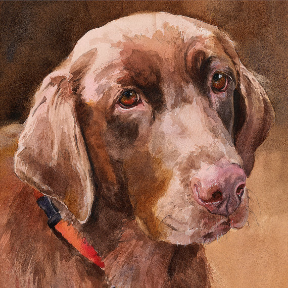 570x571 Chocolate Labrador Retrieverprint Of Watercolor Dog Painting