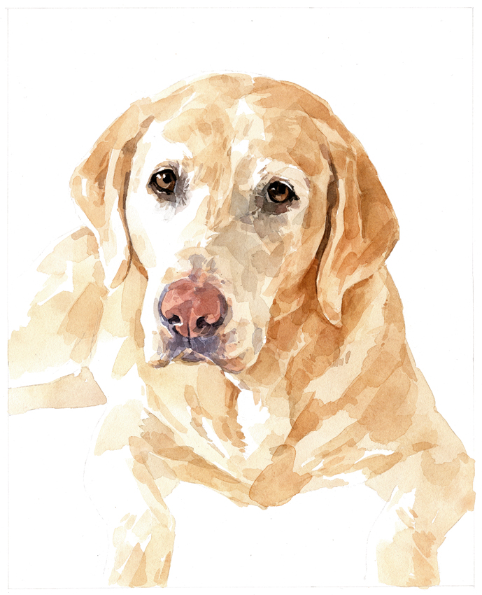 689x850 Dog Watercolor Gallery
