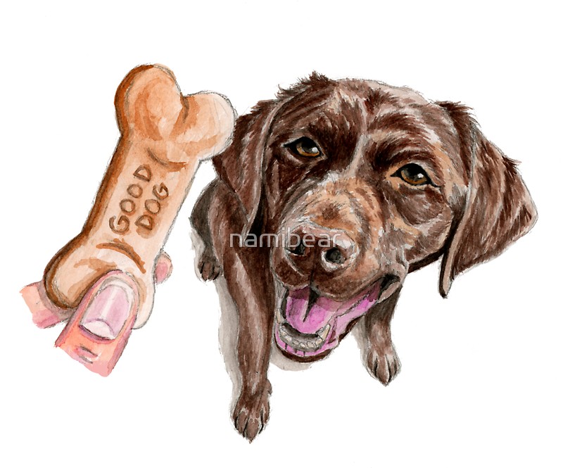 800x665 Good Dog Chocolate Lab Watercolor Painting Stickers By Namibear