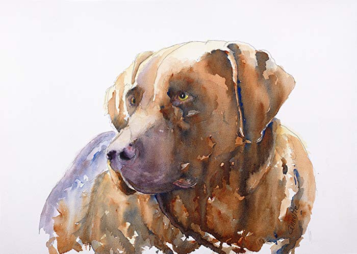 700x498 Chocolate Lab Original Watercolor Paiting In Canvas Or