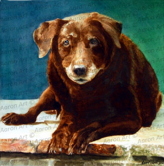 535x544 Lovable Chocolate Lab Aaron Art