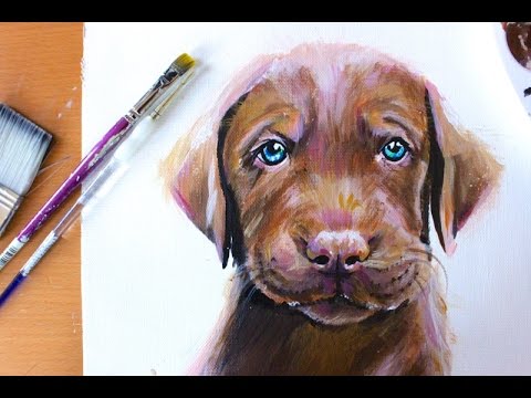 480x360 Painting Cute Chocolate Labrador Retriever Puppy Rachel Rie
