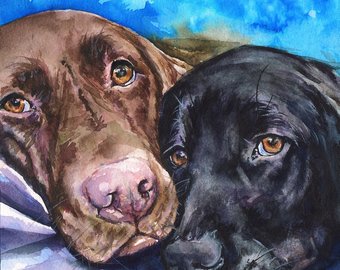340x270 Black Lab Watercolor Etsy