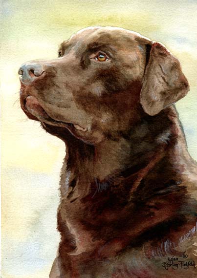 403x569 Brown Labrador By Flingling
