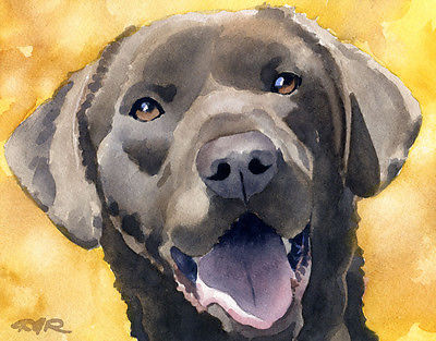 400x313 Chocolate Lab Watercolor 11 X 14 Art Print Signed By Artist Djr