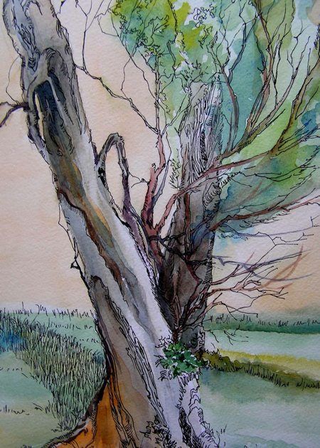 450x630 Steadfast, Pen, Ink And Watercolor, Sara Joseph Water Media