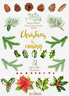 236x327 139 Best Christmas Watercolor Clipart Images