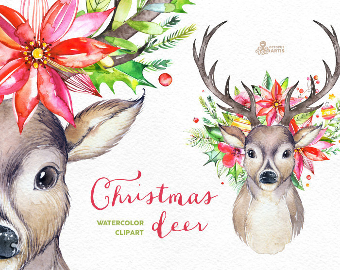 700x556 Christmas Deer. Watercolor Deers, Antlers, Flowers, Hand