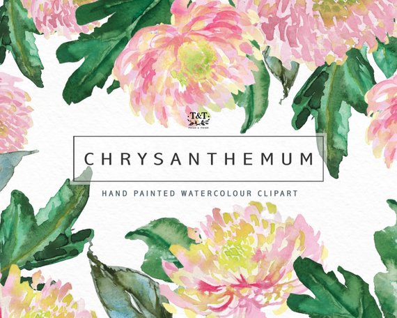 570x456 Watercolor Flower Clip Art Collection Hand Painted Graphics. Etsy