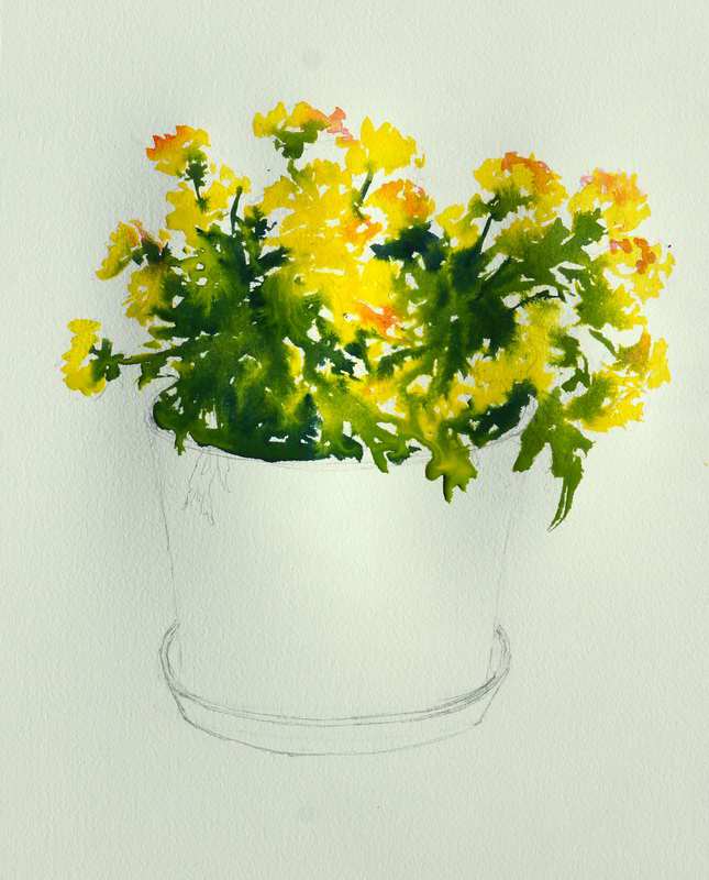 645x800 Watercolor Painting Chrysanthemums