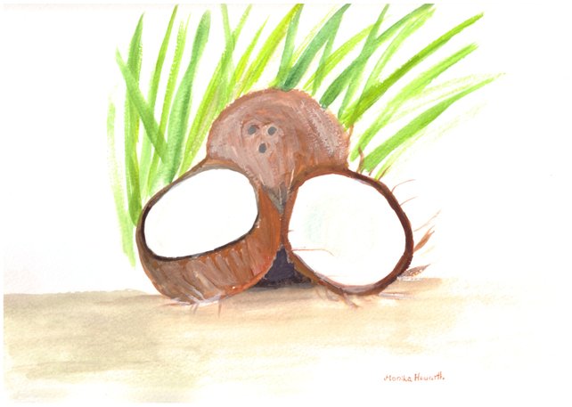 642x457 Coconut Watercolor Painting Coconuts Painting Art Fruit Etsy