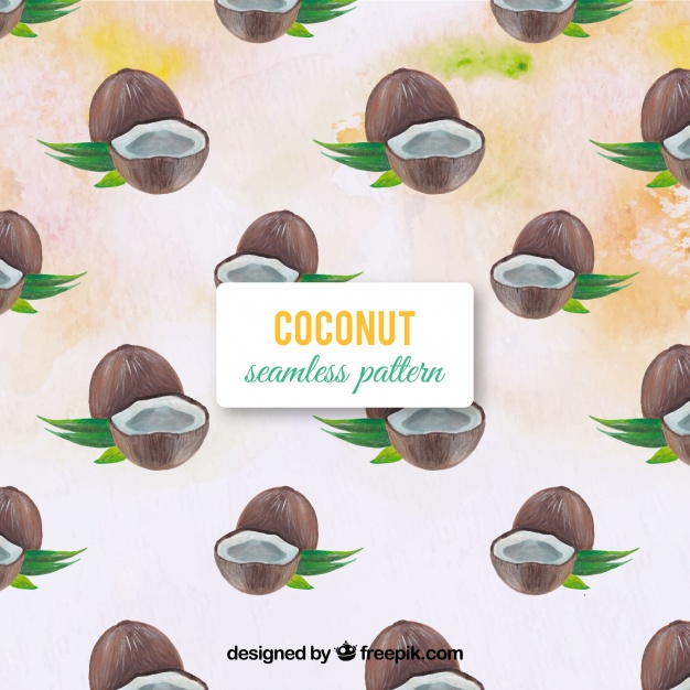 626x626 Watercolor Coconut Background Vector Free Download