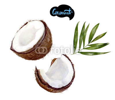 400x347 Coconut Watercolor Illustration Buy Photos Ap Images Detailview