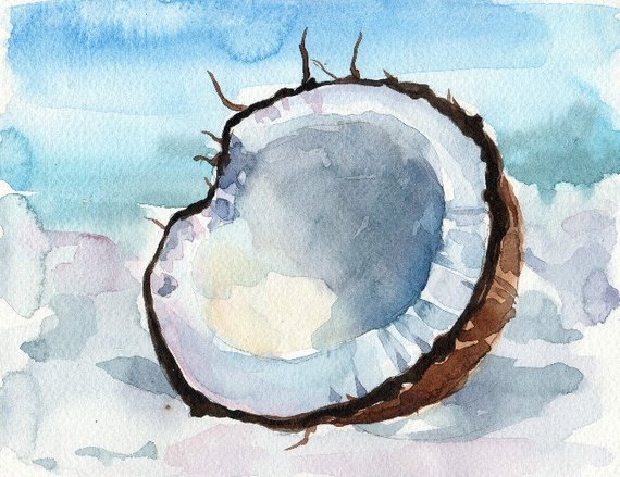 570x439 Coconut Watercolor Print Watercolor Painting Minimalist Etsy