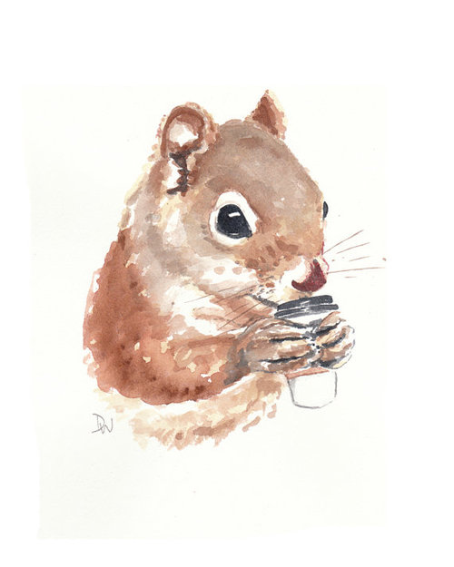 500x625 Squirrel Watercolor Painting Coffee Animal By Waterinmypaint