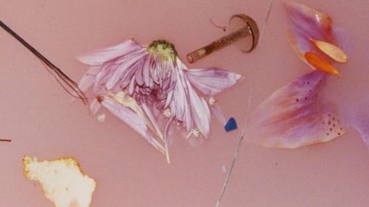 532x299 Colored Baths Tumblr