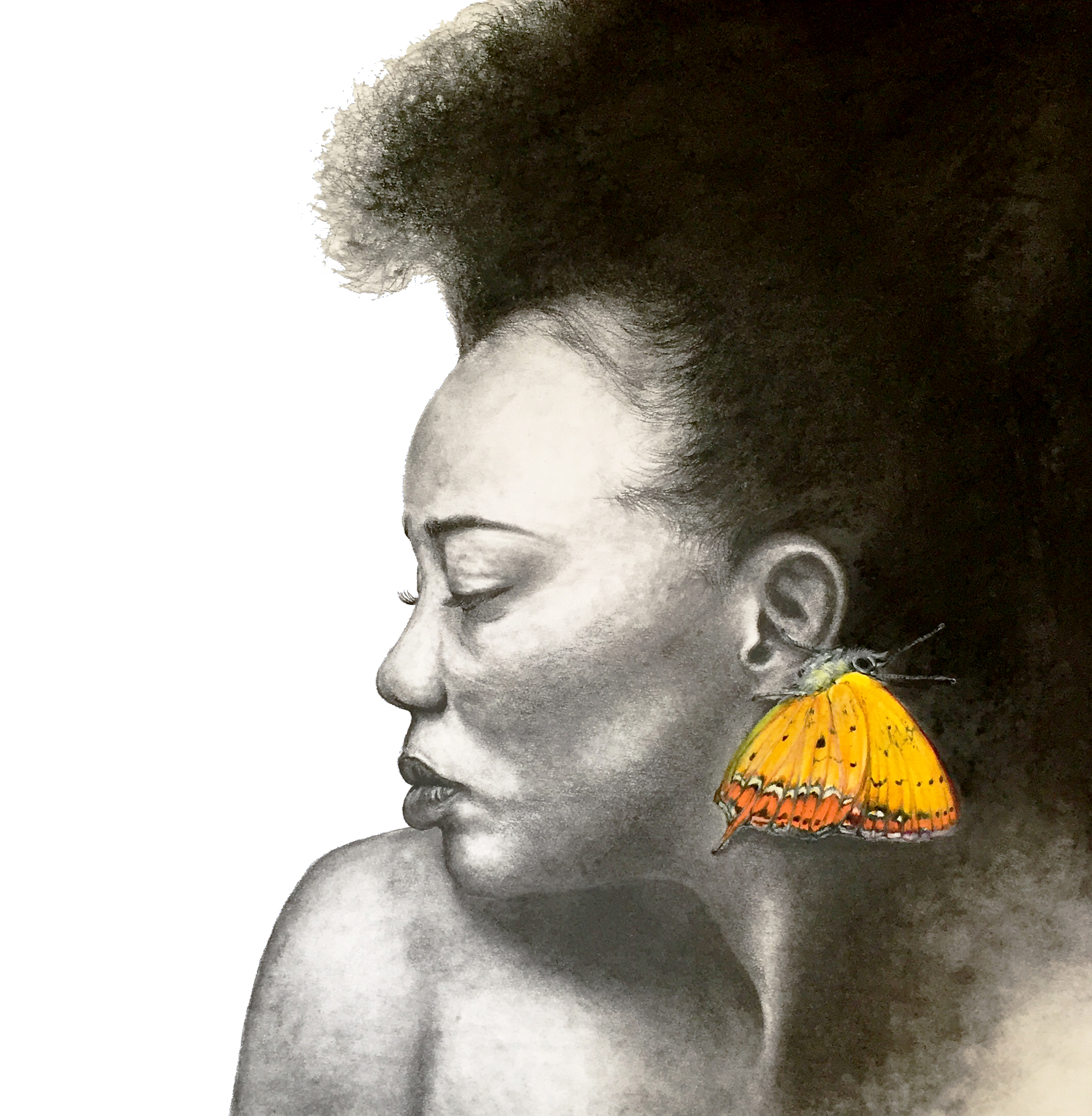 2128x2176 Anthony Burks Collection