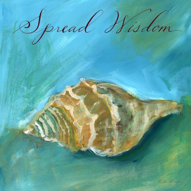 640x640 Dreamy Shells Iii