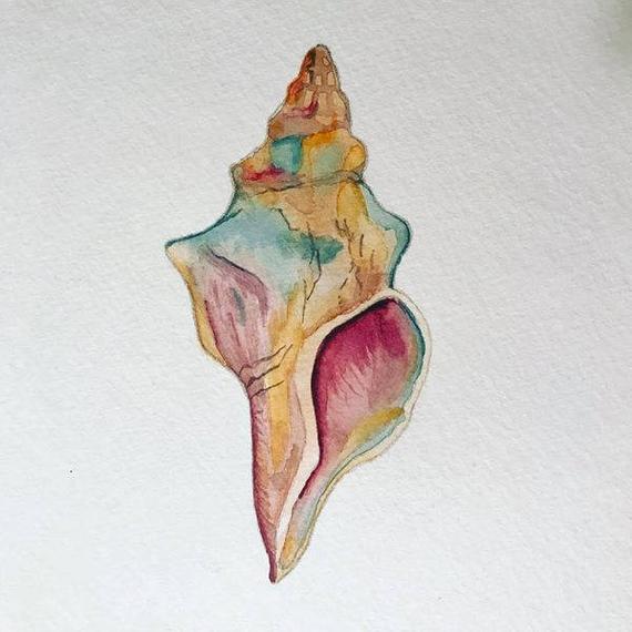 570x570 Gorgeous Rainbow Conch Shell Watercolor Origainl Painting Etsy