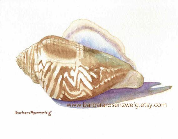 570x446 Original Art Seashell Painting Conch Shell Wall Art Etsy