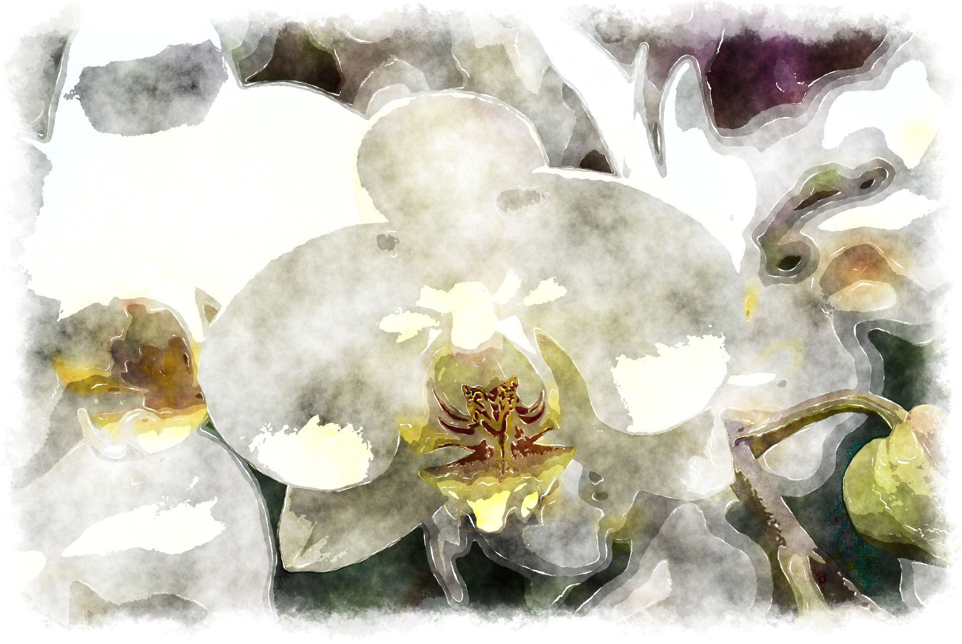 1920x1285 Watercolor Orchids, Watercolor Paintings Of Beautiful Orchids