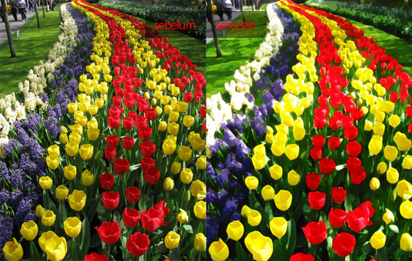 595x377 3 Steps To Turn Photograph Into Watercolor Painting Grafisia