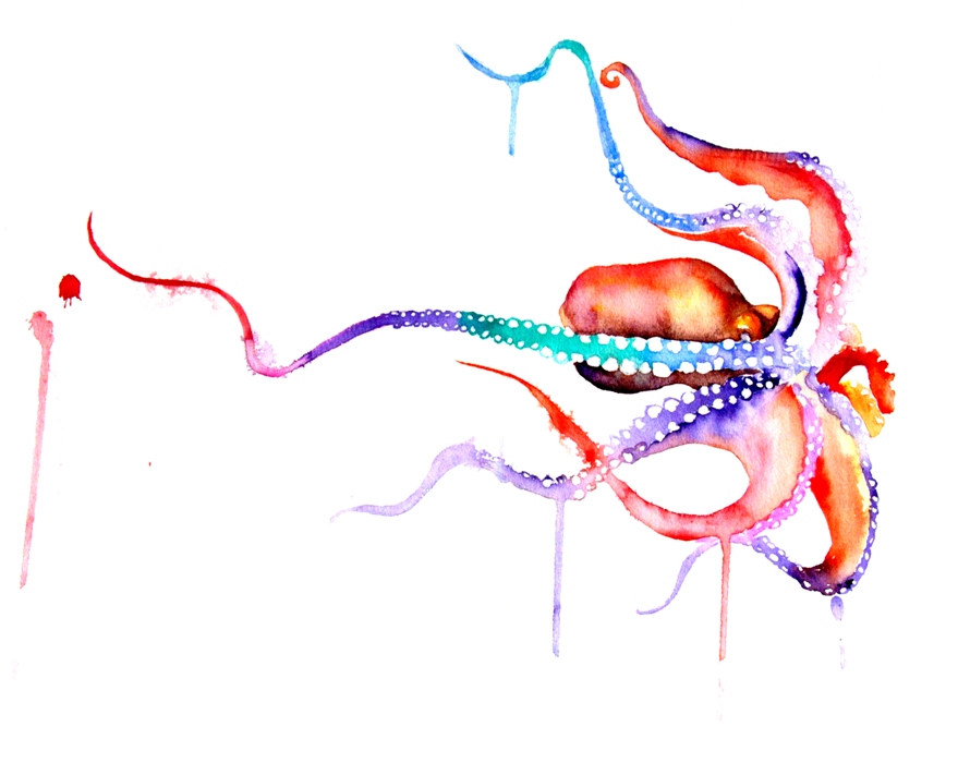 879x700 Cool Octopus Watercolor Painting