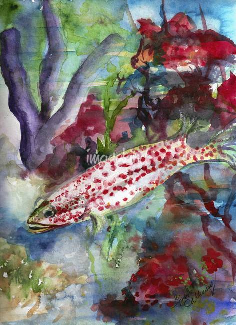 473x650 Ocean Life Coral Reef Fish Watercolor By Ginette Callaway