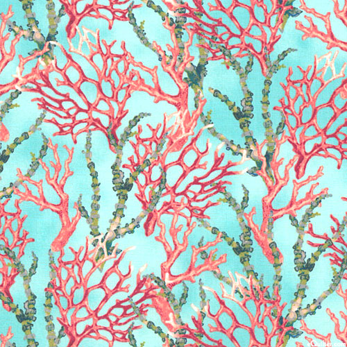 500x500 Equilter Coral Reef