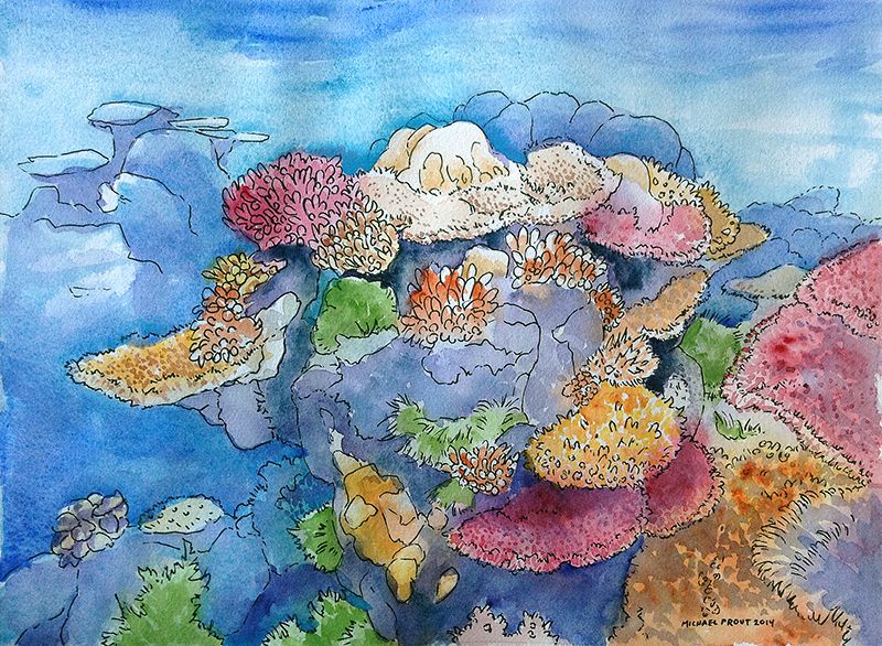800x586 Coral Reef Watercolor Painting Coral Reefs And